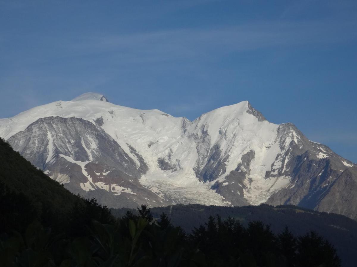 Mont Blanc Holidays Dans Residence Avec Gardien Sallanches Bagian luar foto